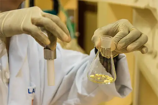 Imagem timeline 2024